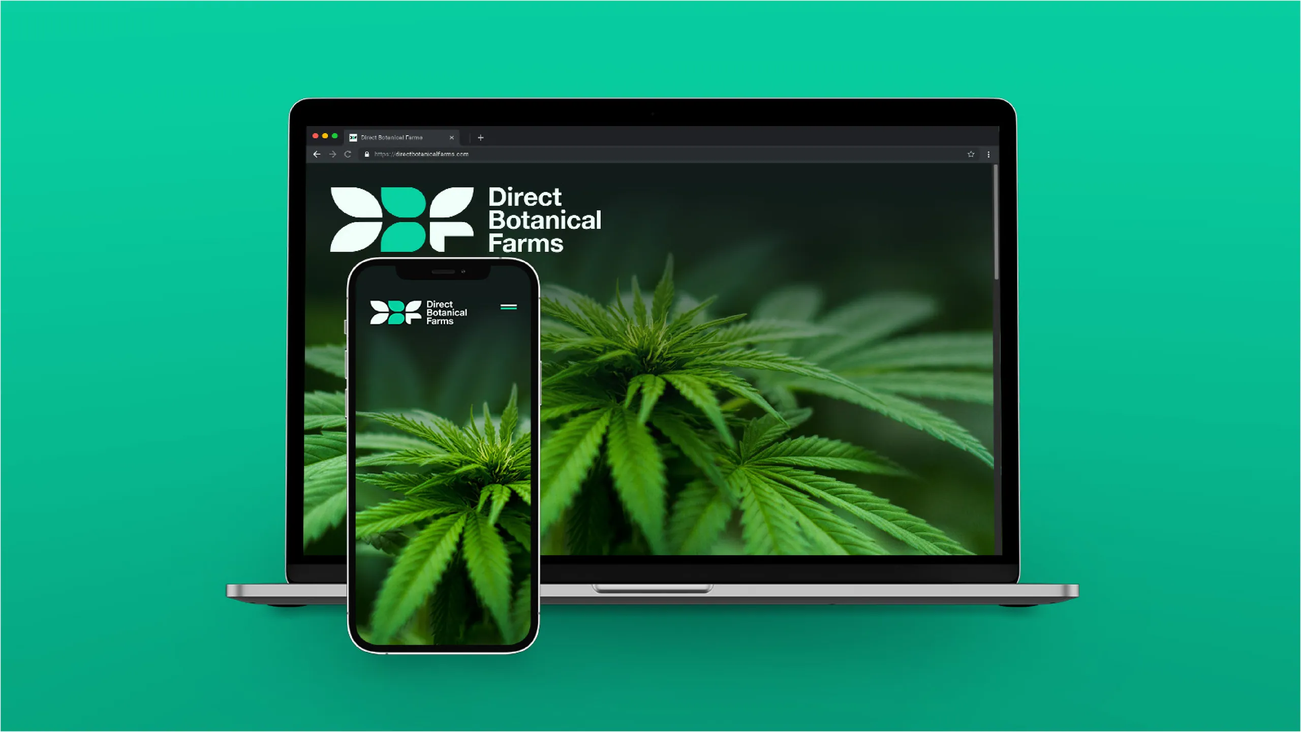 Direct Botanical Farms brand identity 8